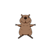 Capybara Wasserschwein Capybaras