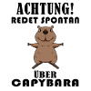 Capybara Wasserschwein Capybaras