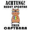 Capybara Wasserschwein Capybaras