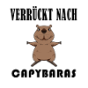 Capybara Wasserschwein Capybaras
