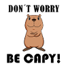 Capybara Tier Niedlich