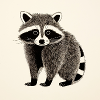 Cute Raccoon