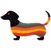 Dachshund 1970s (no1)