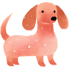 Dachshund 1970s (no2)