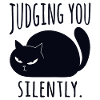 Il gatto nero ti giudica in silenzio