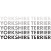 Yorkshire Terrier