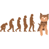 Evolution Yorkshire Terrier