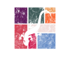 Lézard