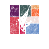 Kite