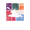 Canoe