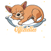 Offizielles Schlafshirt Chihuahua