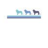 Löwe