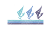 Kite