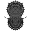 2024 Kaleidoscope Dragon 56