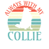 Cadeaux Collie