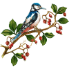 Bunter Vogel