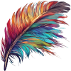 Feather clorful