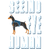 Seeing Eye Human