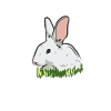 Legendary Rabbit Hunter