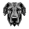 Great Dane Dog Portrait