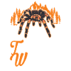 Tarantel Flüsterer Tarantula Whisperer