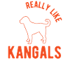 Kangal Dog Gift