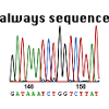 always sequence