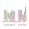 Always sequence