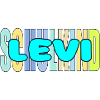 SCHULKIND JUNGENNAME LEVI