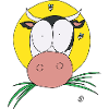 Cow is watching you