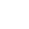 Vlogger / Blogger