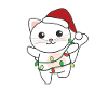 Chat Noël Hiver Animaux Chats