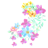 blumen,blüte,floral , Blume, Wiese, Ranke