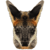 australische tierdesigns, wallaby