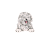 Old English Sheepdog Sheepie Bobtail