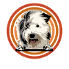 Old English Sheepdog Sheepie Bobtail