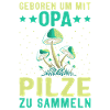 Opa essbare Pilze Steinpilz