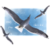 be free as a bird