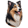 Australian Shepherd