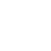 Border Collie Hund