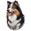 Collie