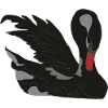 schwarzer Schwan