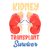 Kidney Transplant Survivor