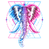 Symbol Sonne Krieger Element