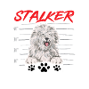 Old English Sheepdog Sheepie Bobtail