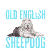 Old English Sheepdog Sheepie Bobtail