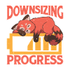 Downsizing In Progress 24
