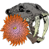 smilodon chrysanthème