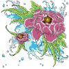 peony 1