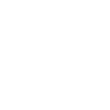 Pensioner pension